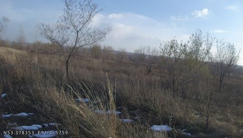 Фото пресс-службы Управления Россельхознадзора по Хакасии и Туве